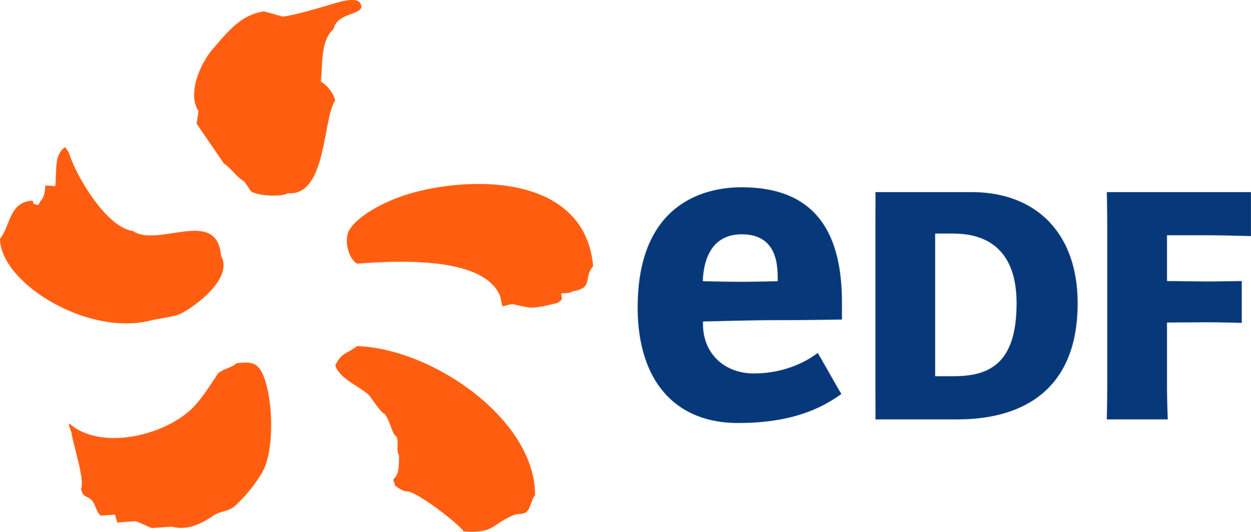 EDF Logo scaled